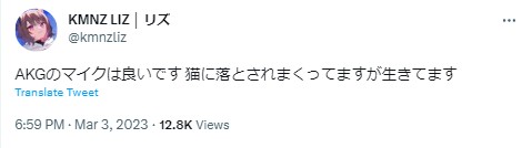 リズ　猫